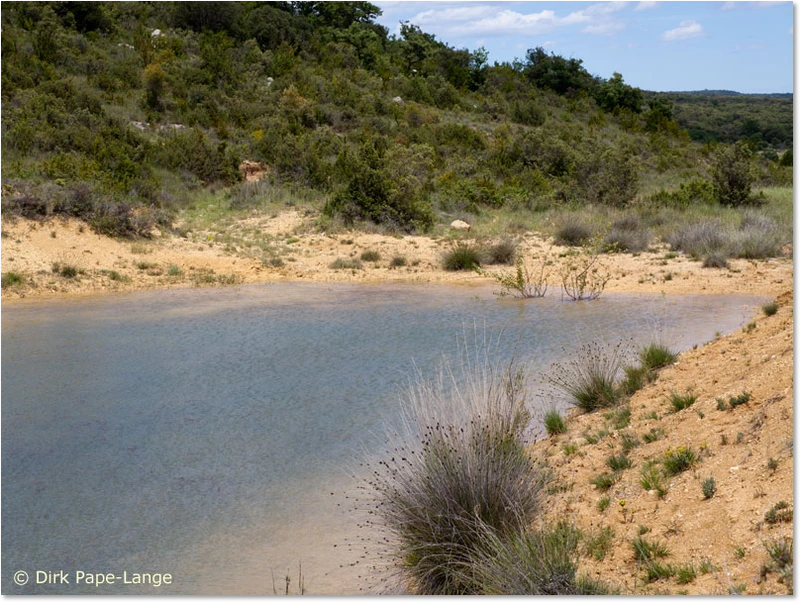 Habitat