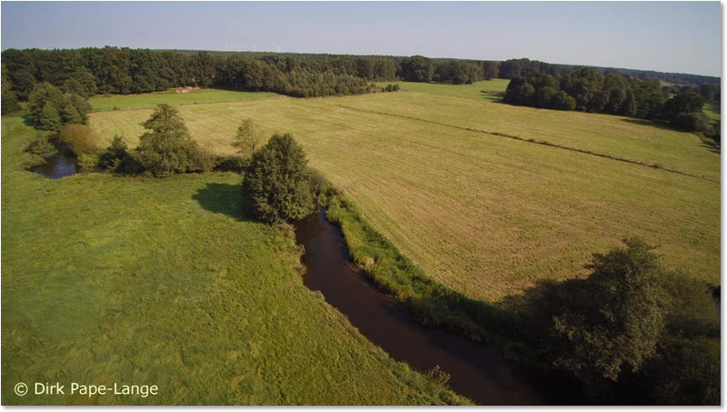 Habitat der Grünen Flussjungferr Ophiogomphus cecilia
