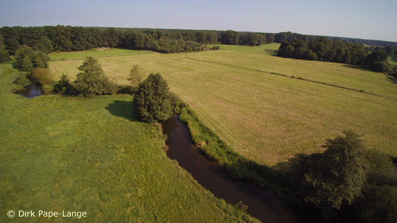 Habitat - Ophiogomphus cecilia