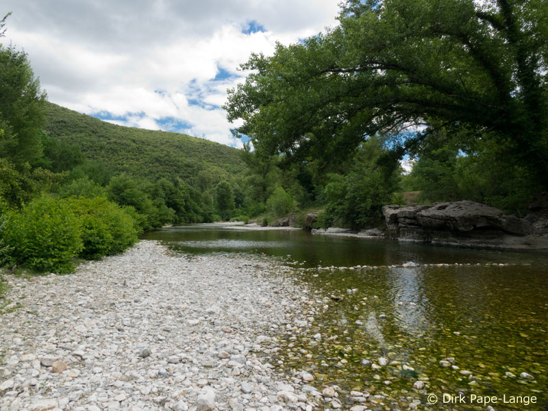 Habitat de la Gomphe à forceps