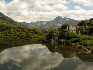 Habitat Tirol