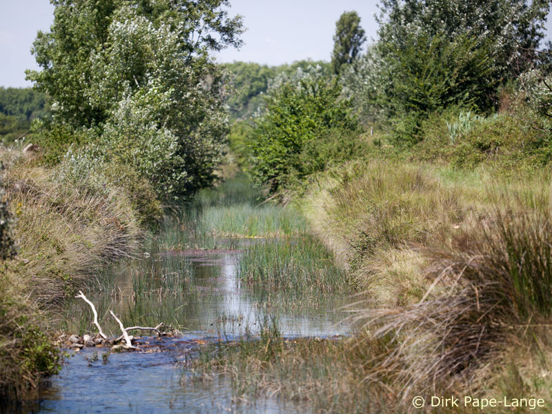 Habitat