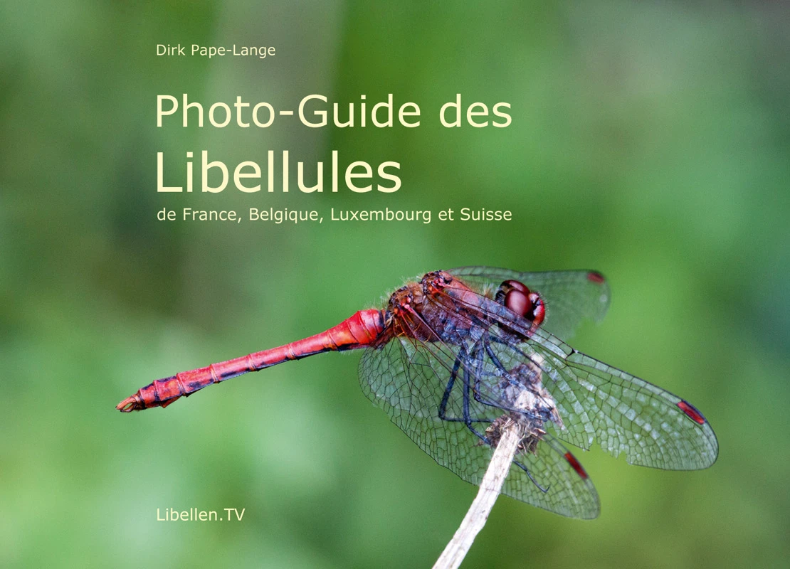 Photo-Guide des Libellules