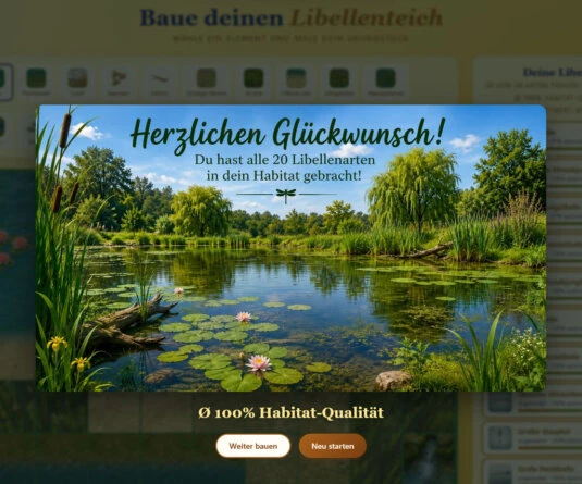 Designerspiel