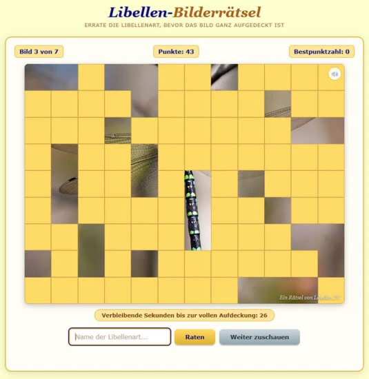 Bilderrätsel
