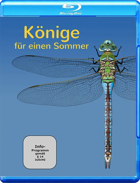 "Könige für einen Sommer" der Libellenfilm