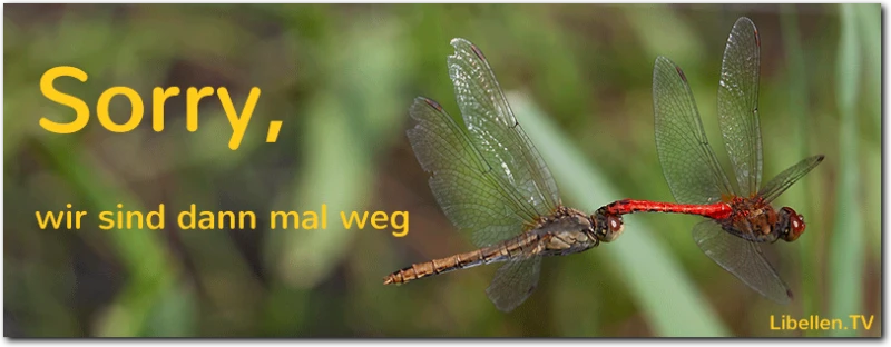 Fehlerseite 404 Sorry