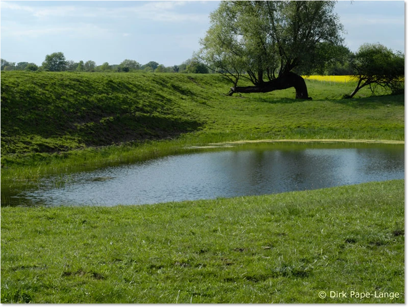 Habitat