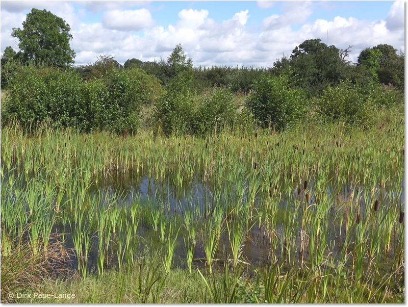 Habitat