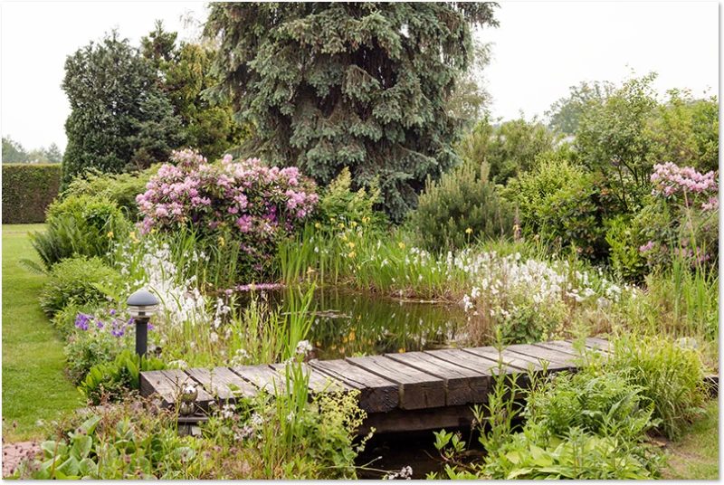 Mein Gartenteich Gartenteich
