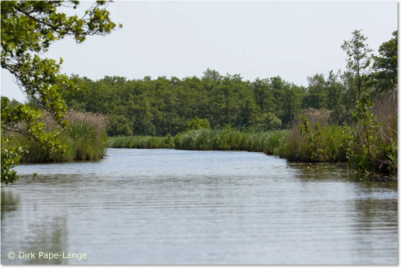 Habitat