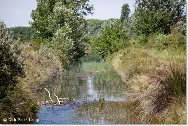 Habitat