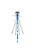 Hufeisen-Azurjungfer (Coenagrion puella)