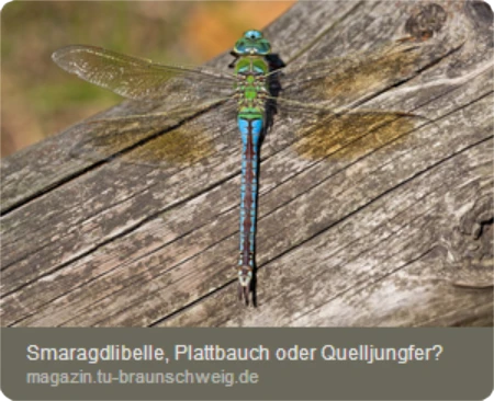 Pressemitteilung