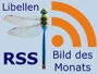 Bild des Monats