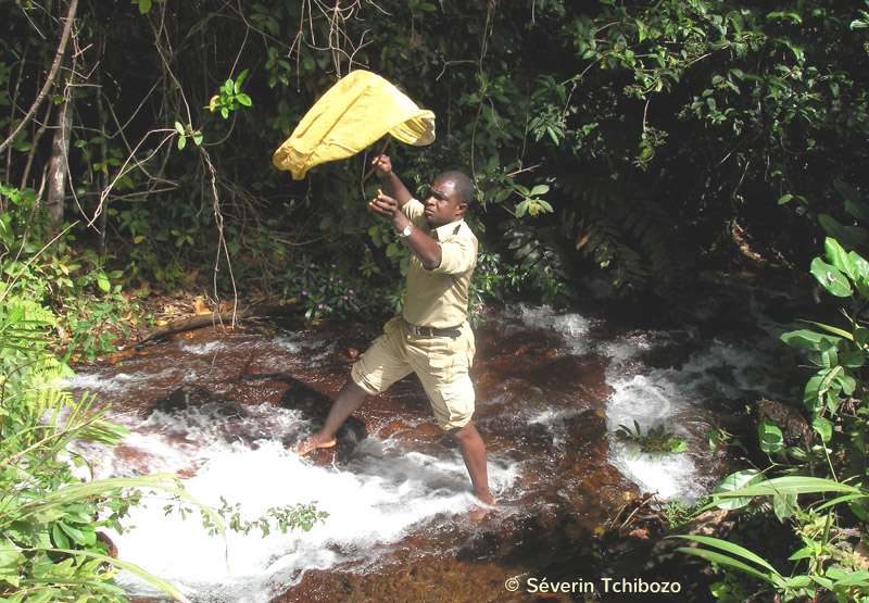 Séverin Tchibozo